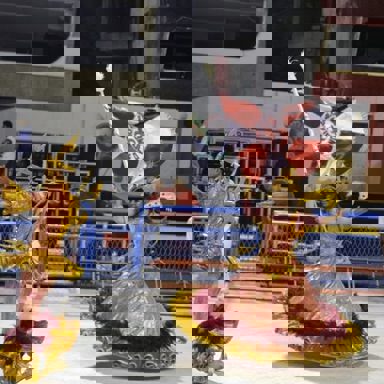 GRES Difícil é o Nome photo 17