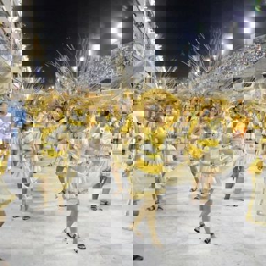 GRES Boi da Ilha do Governador photo 15