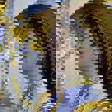 GRES Boi da Ilha do Governador