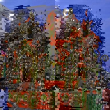 GRES Boi da Ilha do Governador