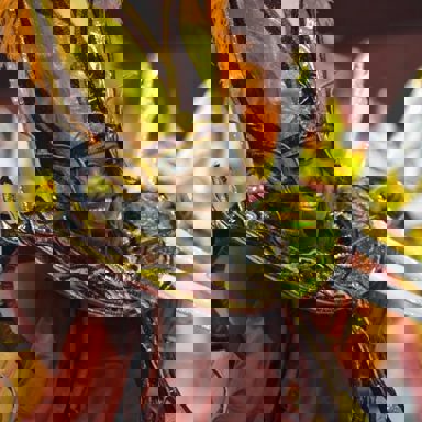 GRES Difícil é o Nome photo 15