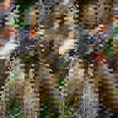 GRES Império da Tijuca