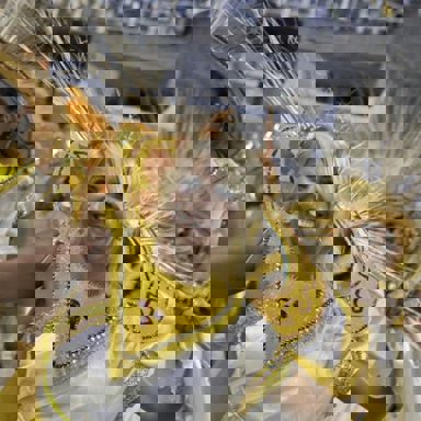 GRES Boi da Ilha do Governador photo 14