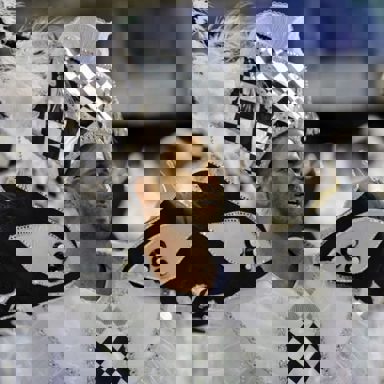 GRES Difícil é o Nome photo 12