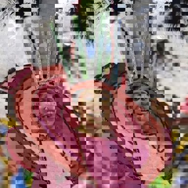 GRES Difícil é o Nome photo 13