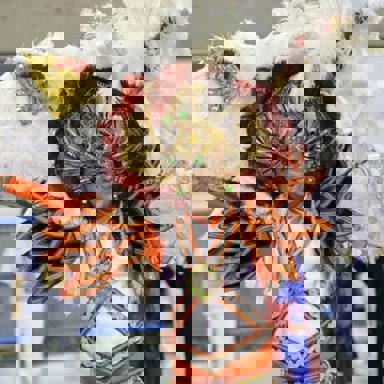 GRES Difícil é o Nome