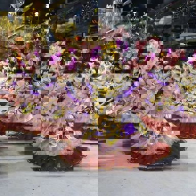 GRES Difícil é o Nome photo 16