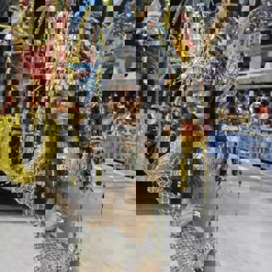 GRES Boi da Ilha do Governador