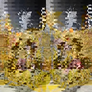 GRES Difícil é o Nome photo 18