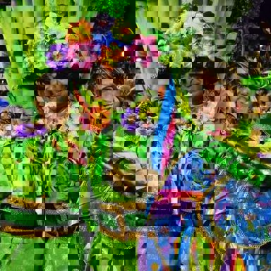 GRES Império da Tijuca