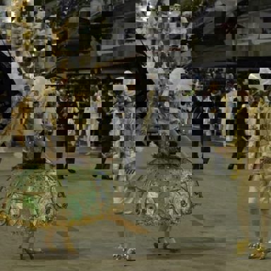 GRES Boi da Ilha do Governador photo 20