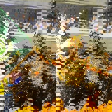 GRES Império da Tijuca photo 19