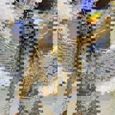 GRES Difícil é o Nome