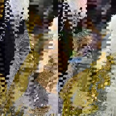 GRES Boi da Ilha do Governador photo 18