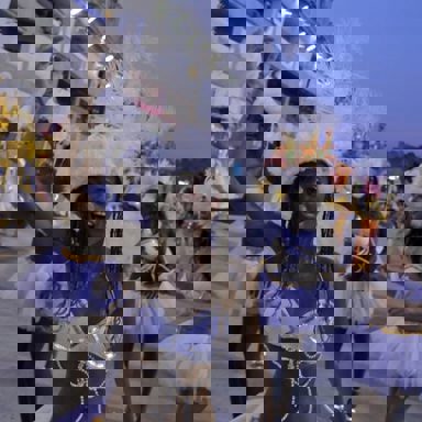 GRES Boi da Ilha do Governador photo 9