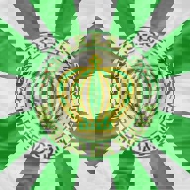 GRES Império da Tijuca photo 20