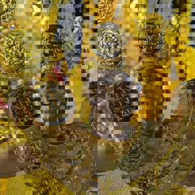 GRES Difícil é o Nome photo 14