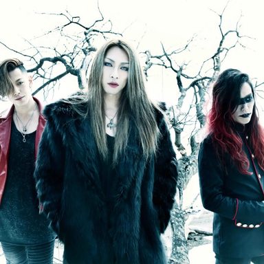 Gyze photo 13