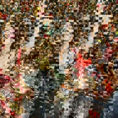 G.R.C.E.S. Mocidade Alegre