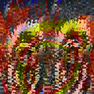 G.R.C.E.S. X-9 Paulistana photo 17