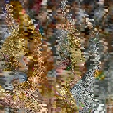 G.R.C.S Vai-Vai photo 16