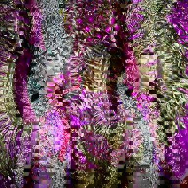 G.R.C.E.S. Mocidade Alegre