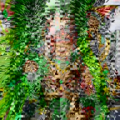 G.R.C.E.S. X-9 Paulistana photo 12