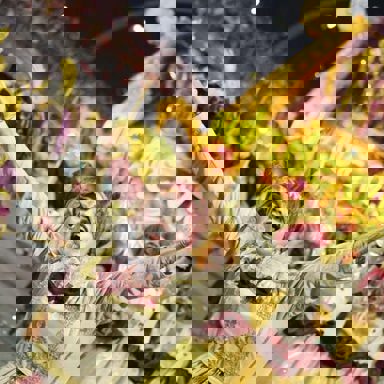 G.R.C.E.S. Mocidade Alegre photo 18