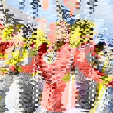 G.R.C.E.S. X-9 Paulistana photo 14