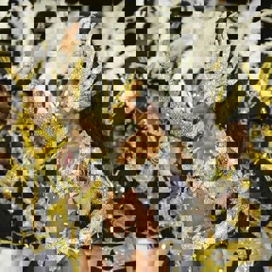 G.R.C.S Vai-Vai photo 19