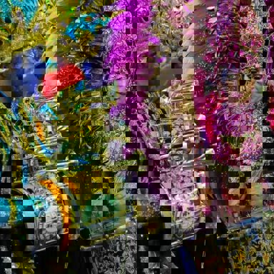 G.R.C.E.S. Mocidade Alegre photo 9