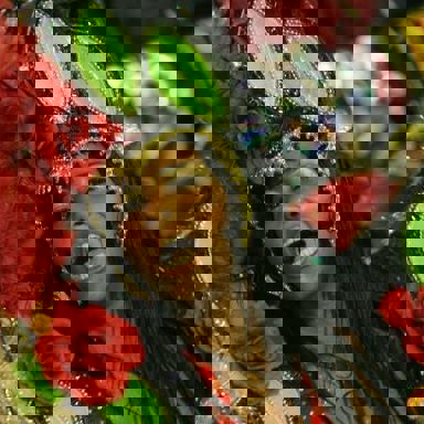 G.R.C.E.S. Leandro de Itaquera (SP) photo 9