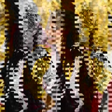 G.R.E.S União da Ilha do Governador (RJ)