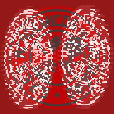 G.R.E.S. Acadêmicos do Salgueiro (RJ)