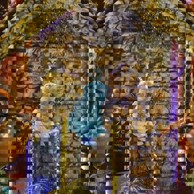 G.R.E.S. Caprichosos de Pilares (RJ) photo 15