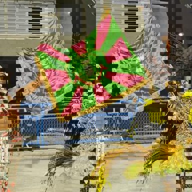 G.R.E.S. Estação Primeira de Mangueira (RJ) photo 16