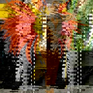 G.R.E.S. Acadêmicos do Grande Rio (RJ)