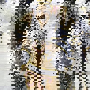 G.R.E.S. Unidos de Padre Miguel photo 13