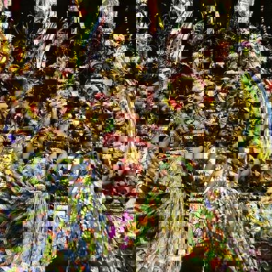 G.R.E.S. Portela (RJ)