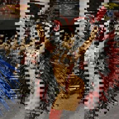 G.R.E.S. Gaviões Da Fiel (SP)