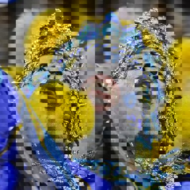 G.R.E.S Paraíso do Tuiuti photo 16