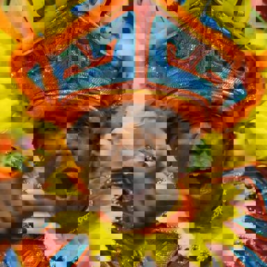 G.R.E.S. Mocidade Independente de Padre Miguel (RJ)