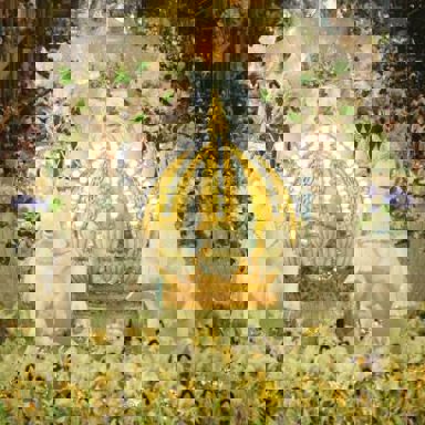 G.R.E.S. Império Serrano (RJ) photo 15