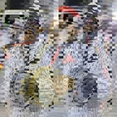 G.R.E.S. Unidos de Padre Miguel