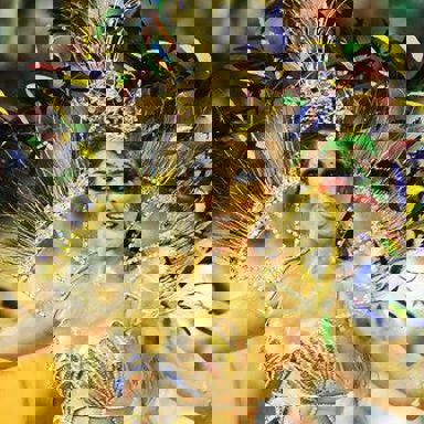 G.R.C.S.E.S Acadêmicos do Tucuruvi