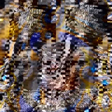 G.R.E.S. Acadêmicos do Tatuapé