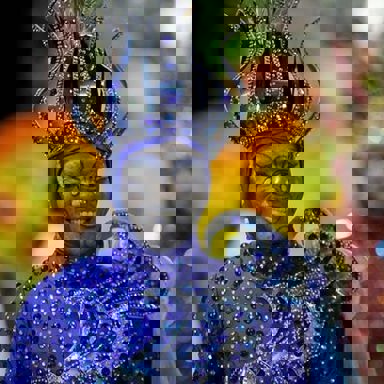 G.R.E.S. Acadêmicos de Santa Cruz photo 10