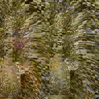 G.R.E.S. Porto da Pedra (RJ) photo 10