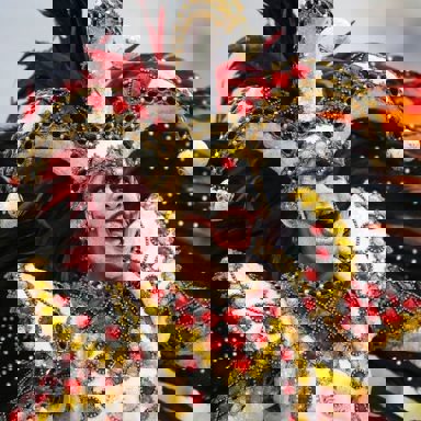 G.R.E.S. Tom Maior photo 12