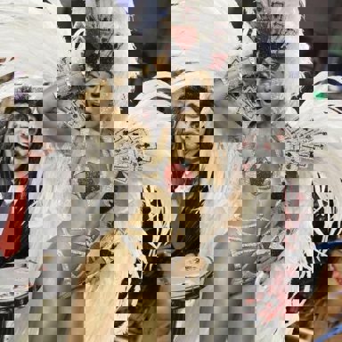 G.R.E.S. Gaviões Da Fiel (SP) photo 14